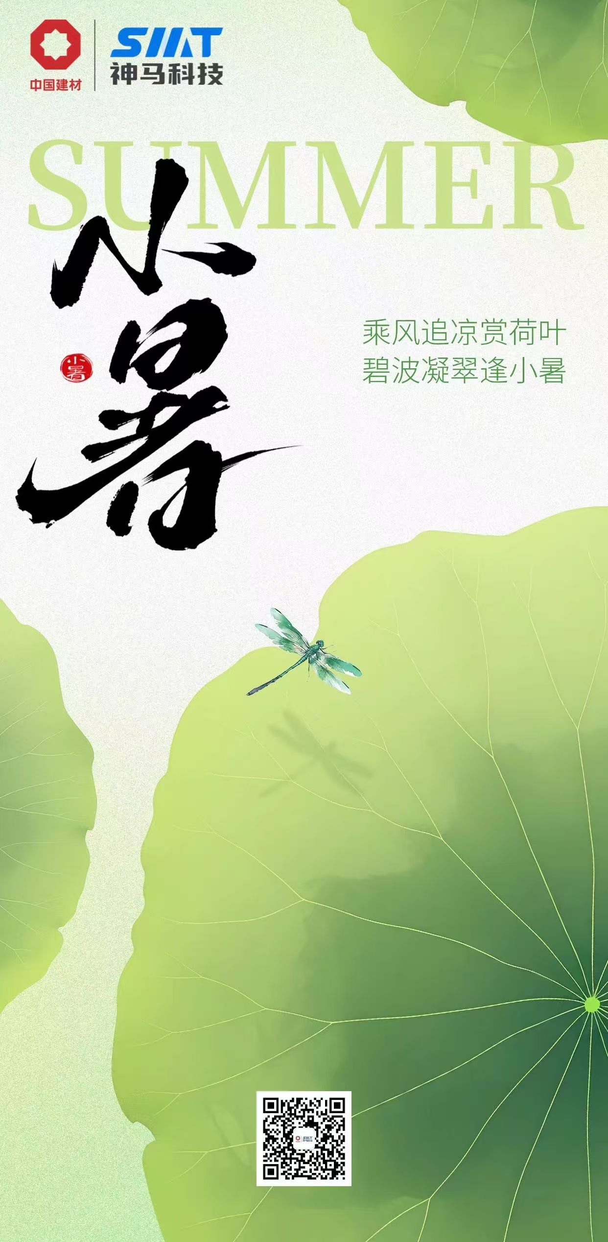 今日小暑 | 乘风追凉赏荷叶，碧波凝翠逢小暑